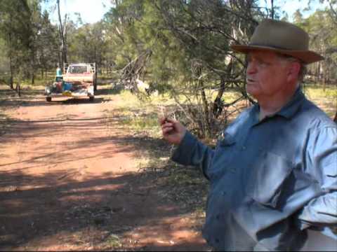 how to discover gold in the soil