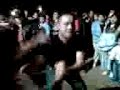banda felinos