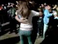 banda felinos