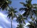 Koh Samui & Bangok