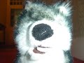 Cuddly Dog Stop-Motion Cuddly Dog Stop-Motion