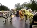 yao lin lion dance