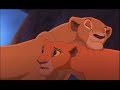 Simba~ There Goes My Life Simba~ There Goes My Life