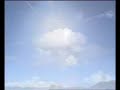 Environment & Landscape Environment & Landscape