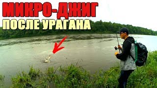 ловля окуня на реке с берега ловля окуня на реке с берега