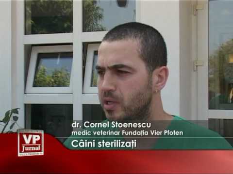 Caini sterilizati