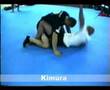videos de Robert Parmakovski MMA training