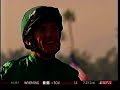 2008 Breeders Cup Classic - Raven's Pass