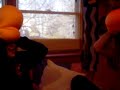 Pillows Pillows
