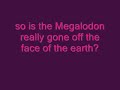 Megalodon Megalodon