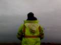 videos de seagull 1