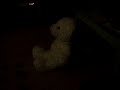 The ultimate duel: Cute puppy vs. Mr. Snuffles the bear The ultimate duel: Cute puppy vs. Mr. Snuffles the bear