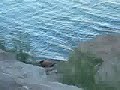 Lake Mead Fun! Lake Mead Fun!