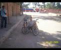barwa bg