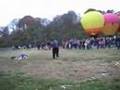 Balluminaria Balloon Glow & Boomerang Demos-Eden Park