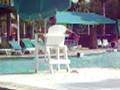 swiming poos