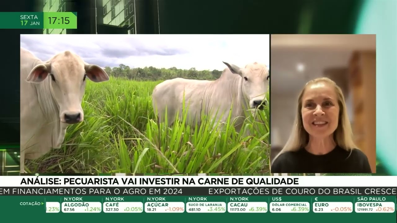 Análise: pecuarista vai investir na carne de qualidade