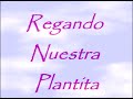 regando la plantita