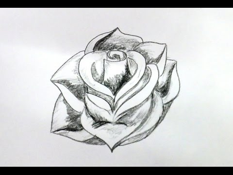 how to draw flowers step by step