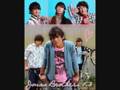 Lovebug - Jonas Brothers [With Lyrics]