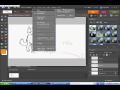 Flashpelt and Tangletail Speedpaint