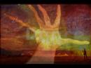 Altered States Enviromental