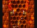 Lets play Diddys Kong Quest part 17 Overwhelming Troglodyte