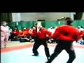 videos de team fight