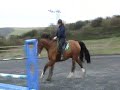 Jumping at Brendons November 08 Jumping at Brendons November 08