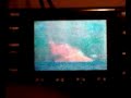 IC 7000 Sporadic E television IC 7000 Sporadic E television