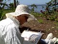 Liz Hamlin painting on Camano Island