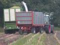 Mais SIlo fahren