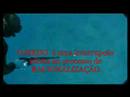 CA�ASUBMARINA  REMO FLAMENGO