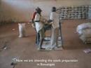 FAO projects in the Central African Republic