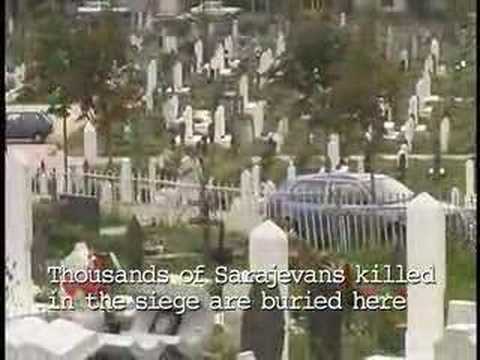 Seven Lillies-a story of Sarajevo