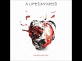 A Life Divided - Hea