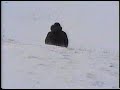 Picnic Table Sledding