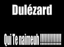 gecko Dul�zard et Pingoo Dupingouin