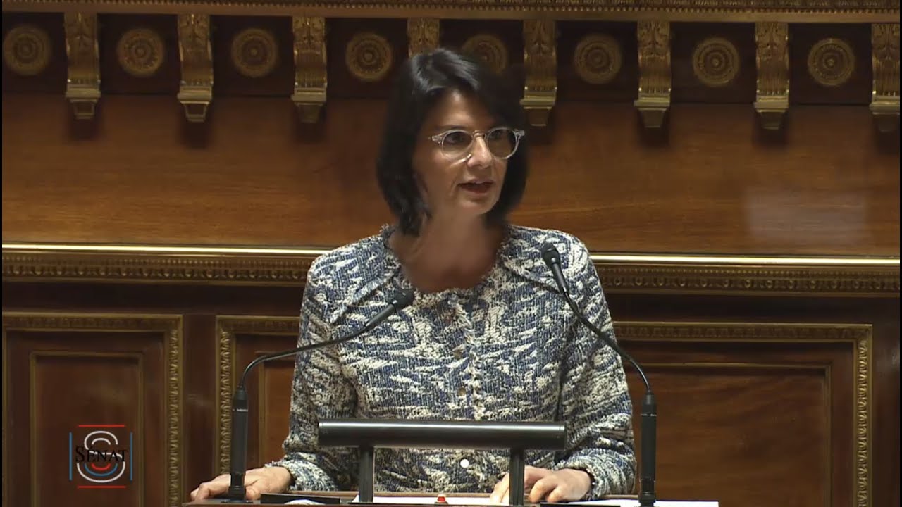 Intervention d’Anne VENTALON dans la proposition de loi « Lutte contre le risque incendie »