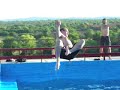 Pileta en medio de la nada Pileta en medio de la nada
