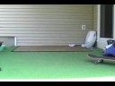 summer 08 skateboarding montage.html