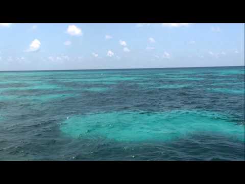 Glass Bottom Boat at John Pennekamp Coral Reef State Park