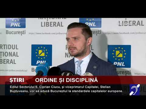 Ordine și disciplină vizuală