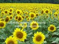 Basta't Maghintay Ka Lamang by Charice Pempengco with Lyrics...