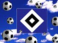 HSV: Das ist wie fliegen