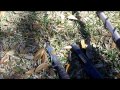 Texas Independence Day Group Hunt March 02 2011