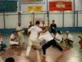 Capoeira Corrente Negra Saudades By Renato Le?o