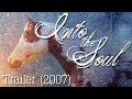 Into The Soul - Trailer; New Breyer Horse series 220+ SUBSCRIBERS!