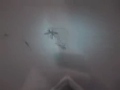 Final Fantasy VII 1/2 : Spider Food