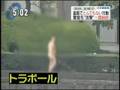 Japanese police run in fear